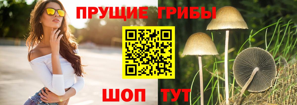 Лянтор  Галлюциногенные грибы MAGIC MUSHROOMS  Вход с VPN 