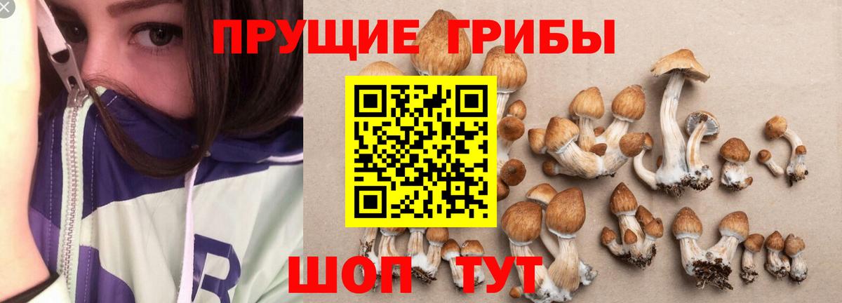  КОКАИН Лянтор